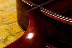 Hauser_Ziricote-7