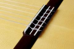 Hauser_Ziricote-8