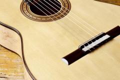 Torres_Birdseye-10