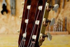 Torres_Maple-6